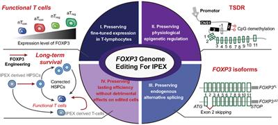 Rare immune diseases paving the road for genome editing-based precision medicine